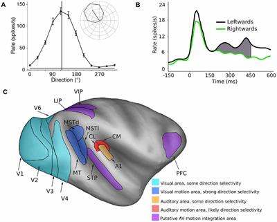 Auditory and Visual Motion Processing and Integration in the Primate Cerebral Cortex